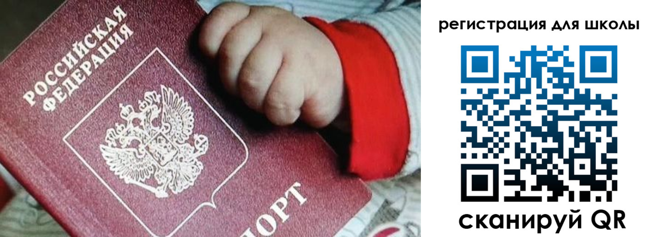 где прописаться в Струнино